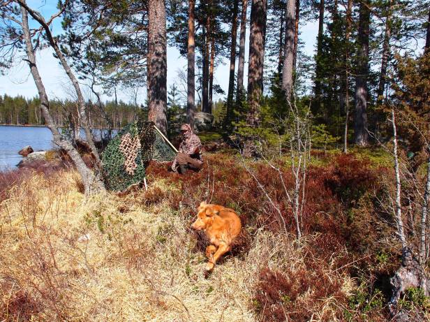 13113049_850642068398684_824107672_o