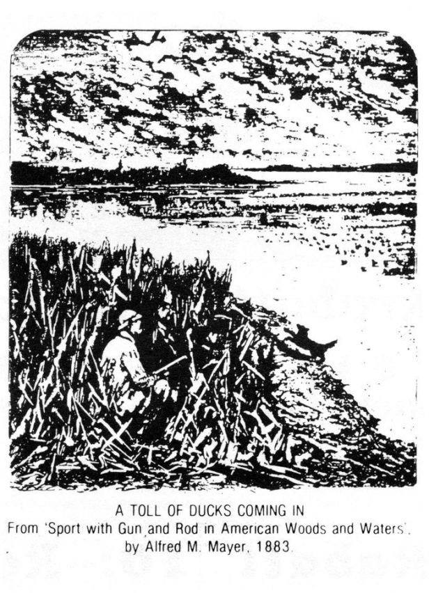 432267_351887384843904_559490623_n