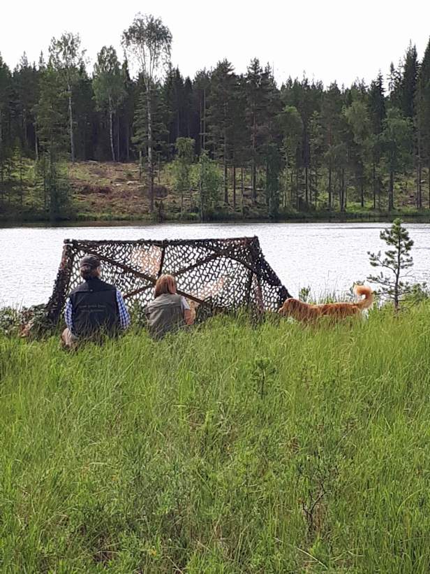 received_1310555409074012