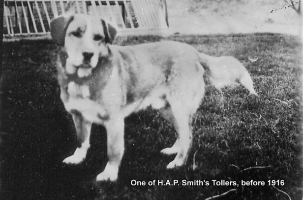 30435_121369681229010_3445777_n