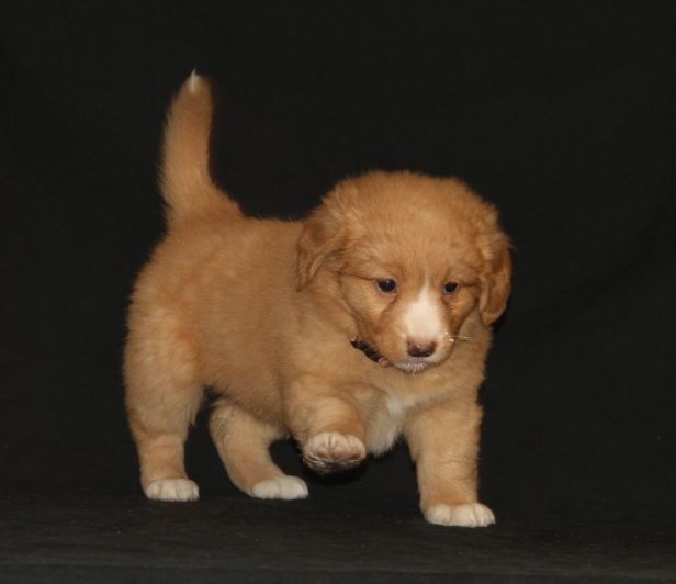 145073792240903700_resized