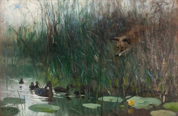Flock_of_ducks_and_sneaky_fox_by_Bruno_Liljefors_1881