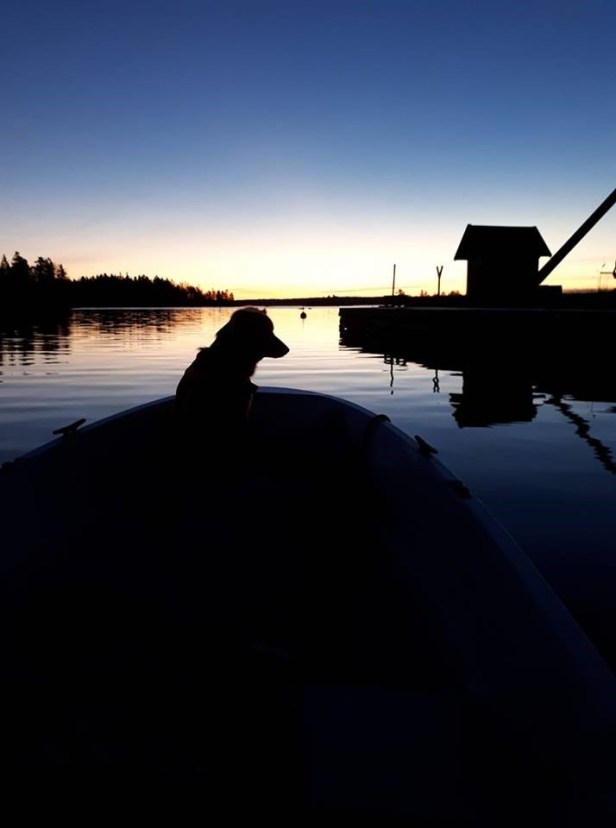 Gryningsbild Axmar Bruk