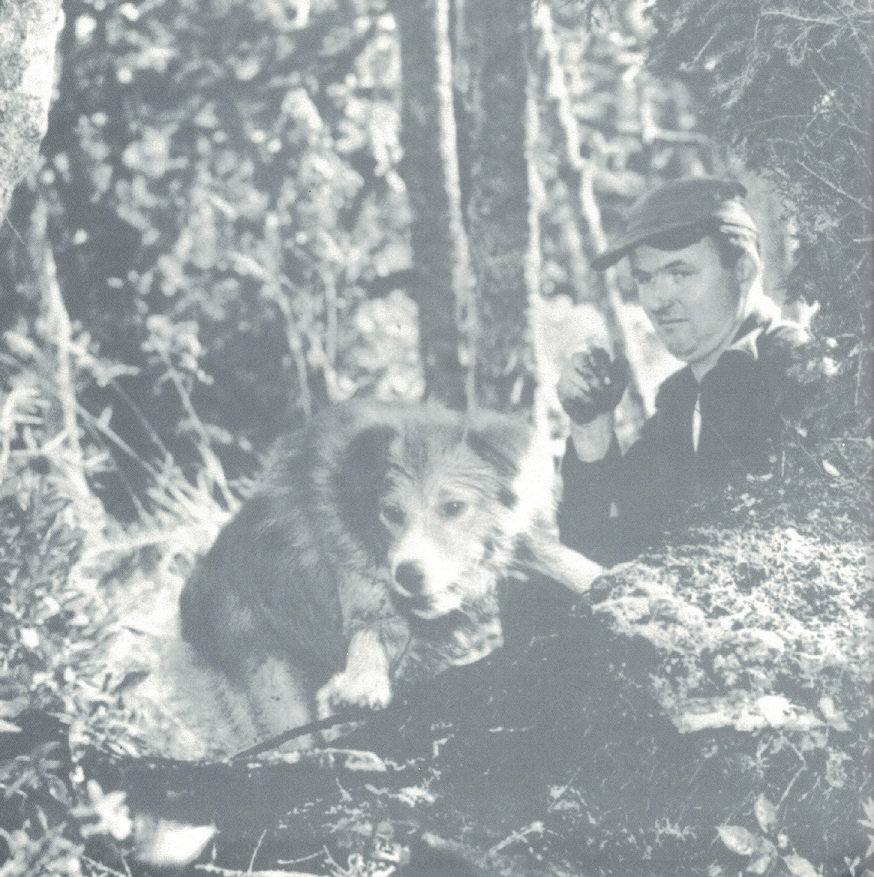 Denna bild har ett alt-attribut som är tomt. Dess filnamn är image-6.png