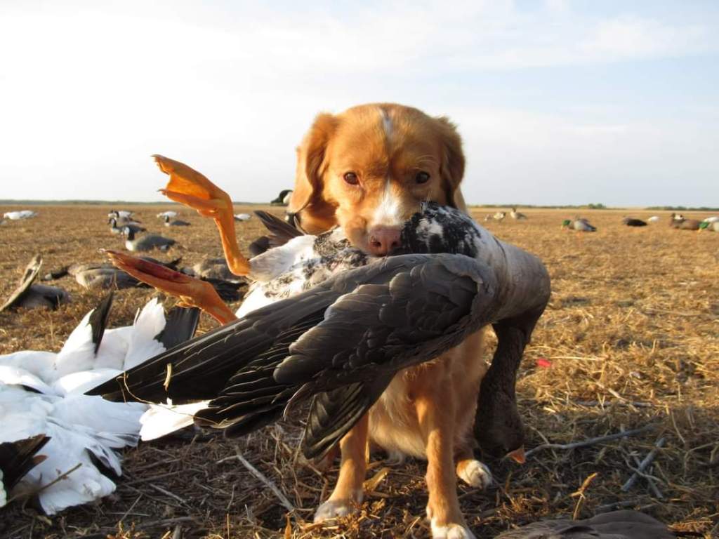 Denna bild har ett alt-attribut som är tomt. Dess filnamn är fb_img_1621891087954.jpg